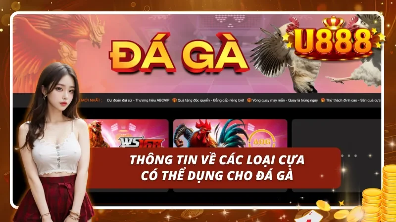 Đá gà U888 về loại cựa có thể được sử dụng